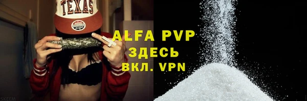 PSILOCYBIN Карпинск