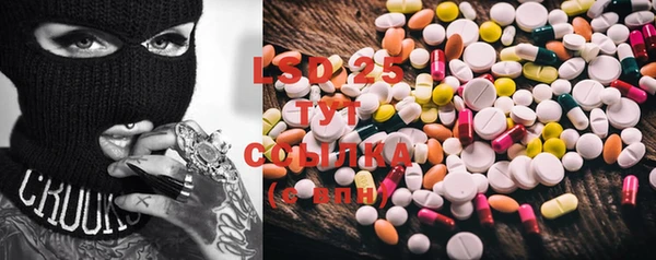 PSILOCYBIN Карпинск