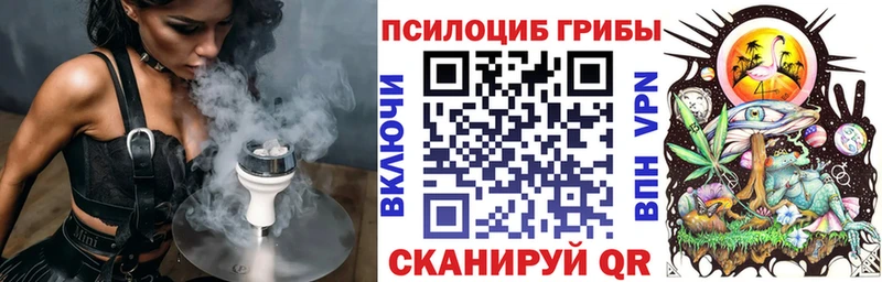 Псилоцибиновые грибы Psilocybe  Купить закладки  Комсомольск 